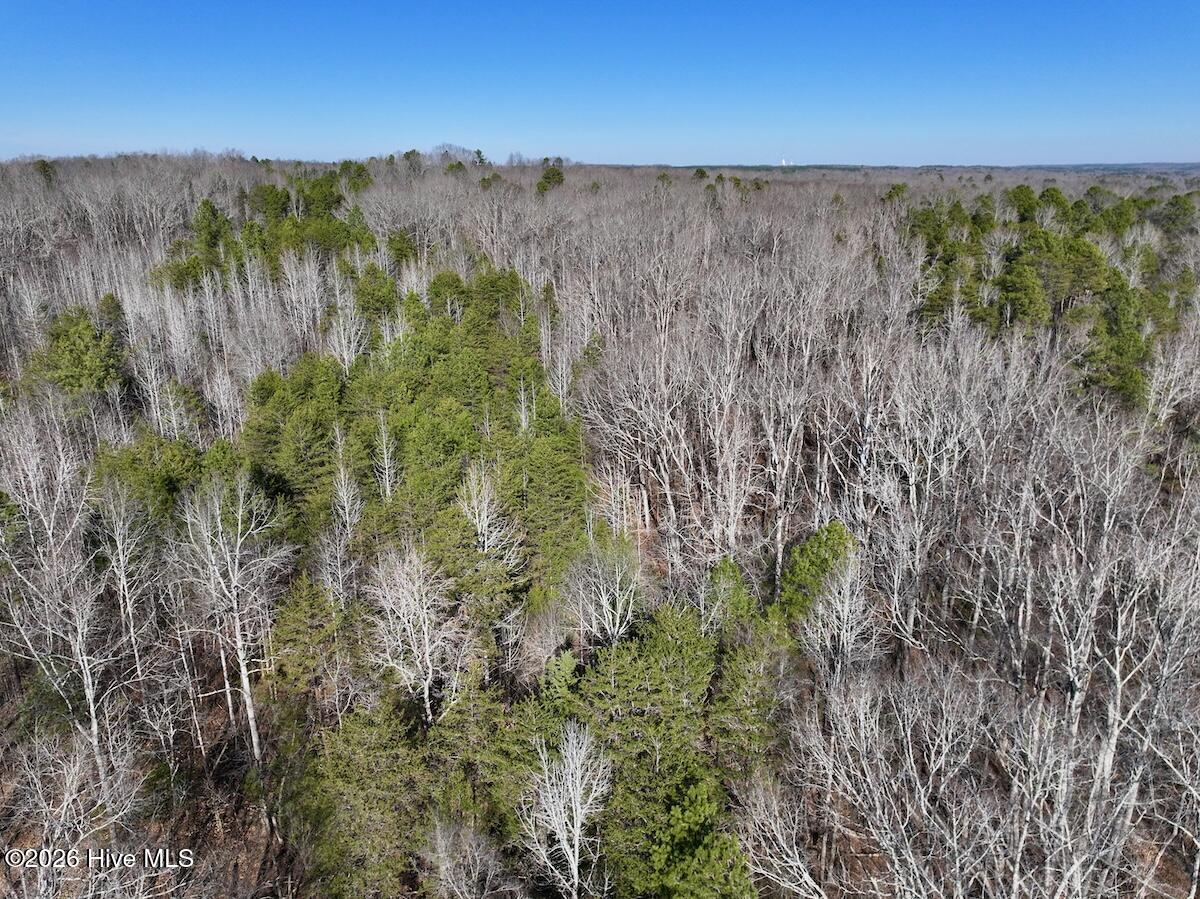 666 Solomon Road Leasburg, NC 27291 - Photo 14 of 49 14