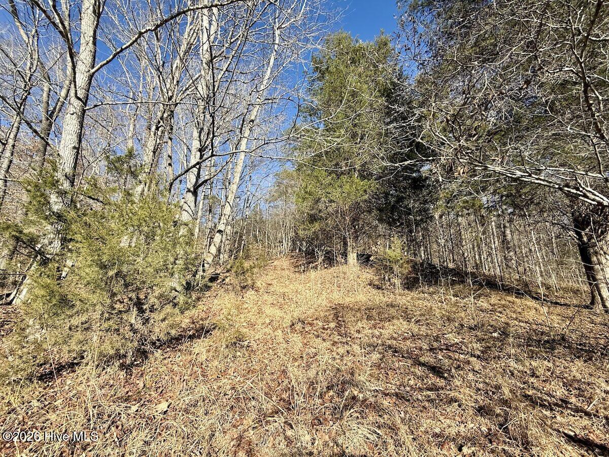 666 Solomon Road Leasburg, NC 27291 - Photo 16 of 49 16