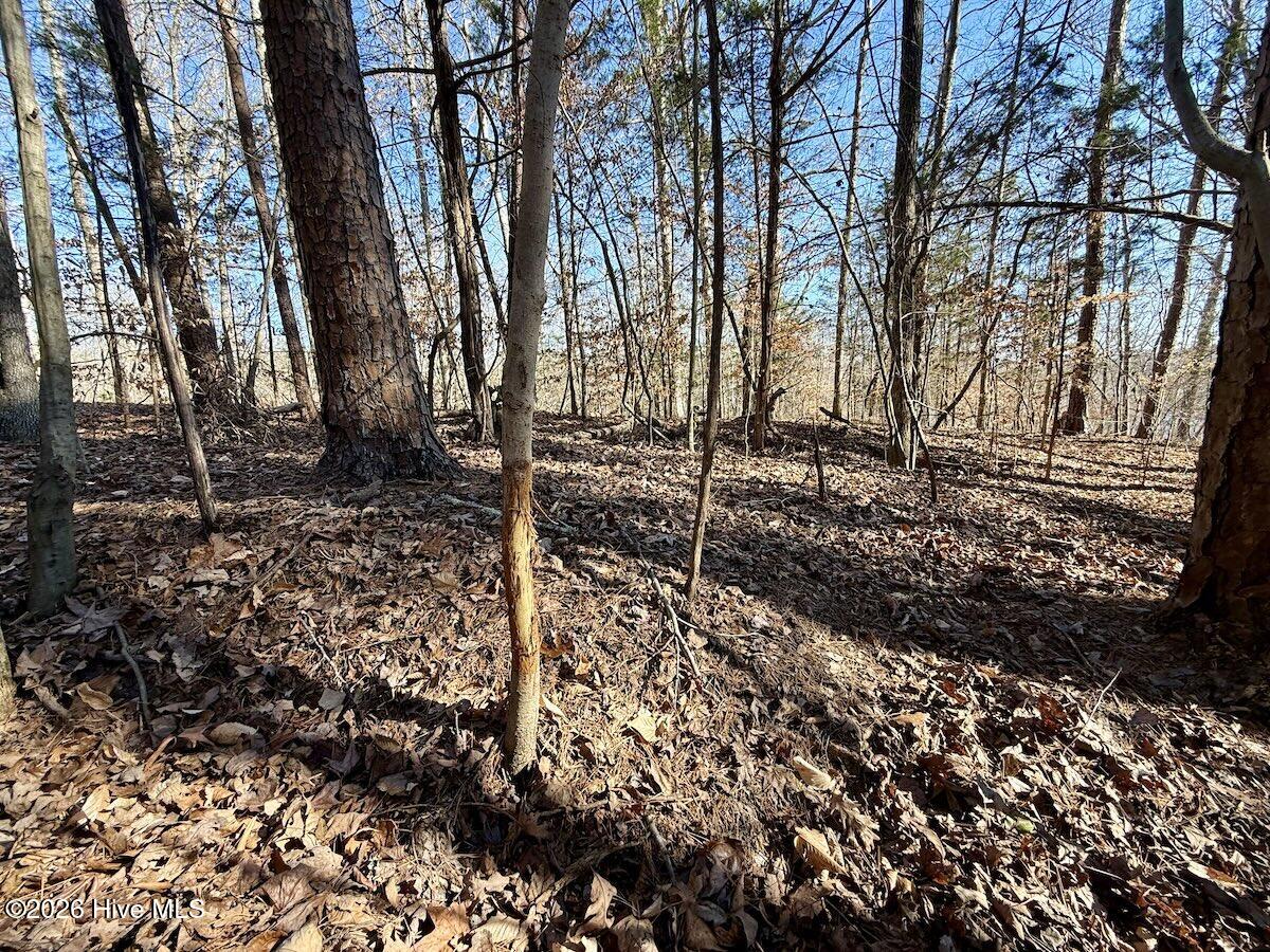 666 Solomon Road Leasburg, NC 27291 - Photo 17 of 49 17