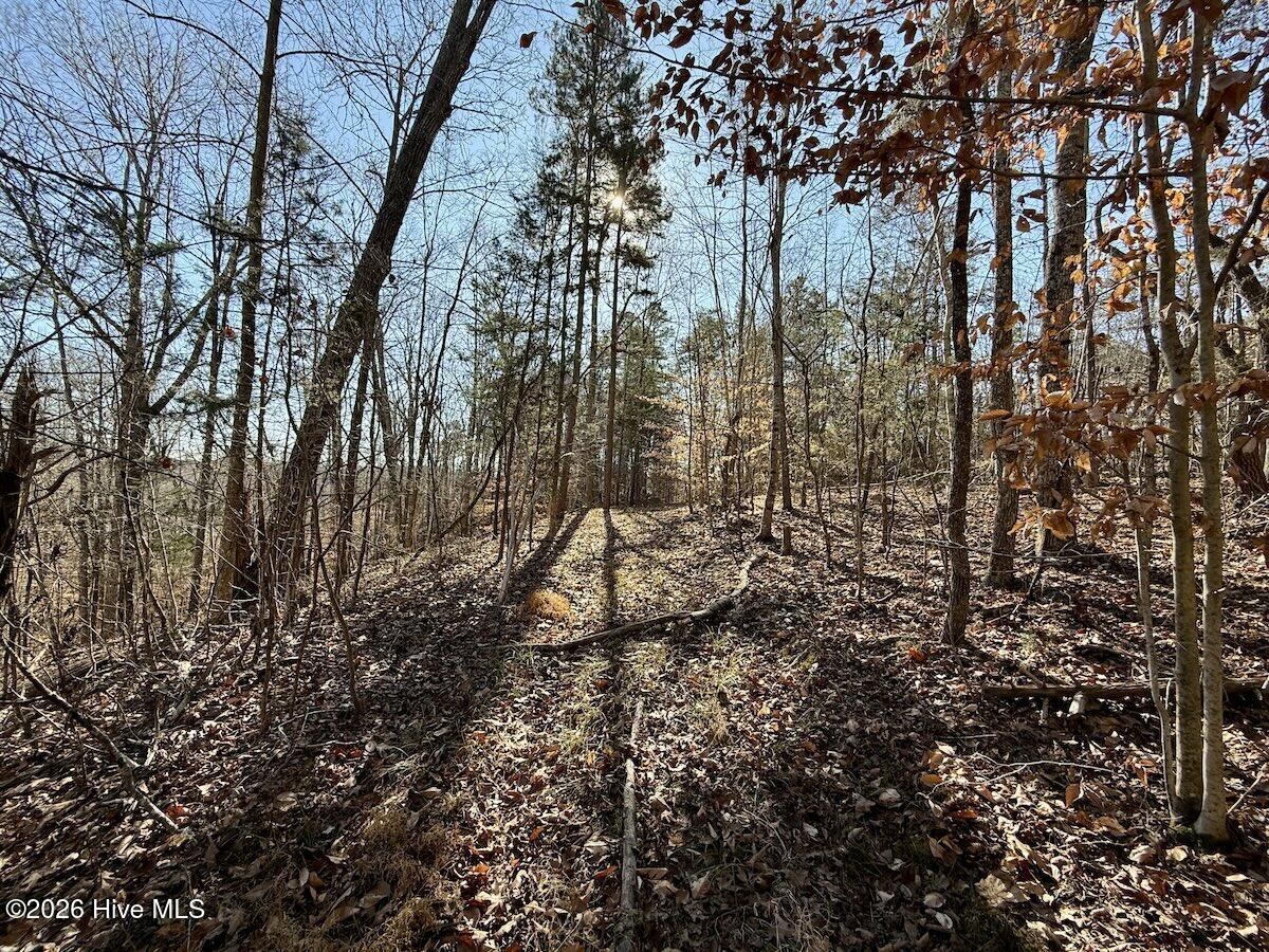 666 Solomon Road Leasburg, NC 27291 - Photo 18 of 49 18