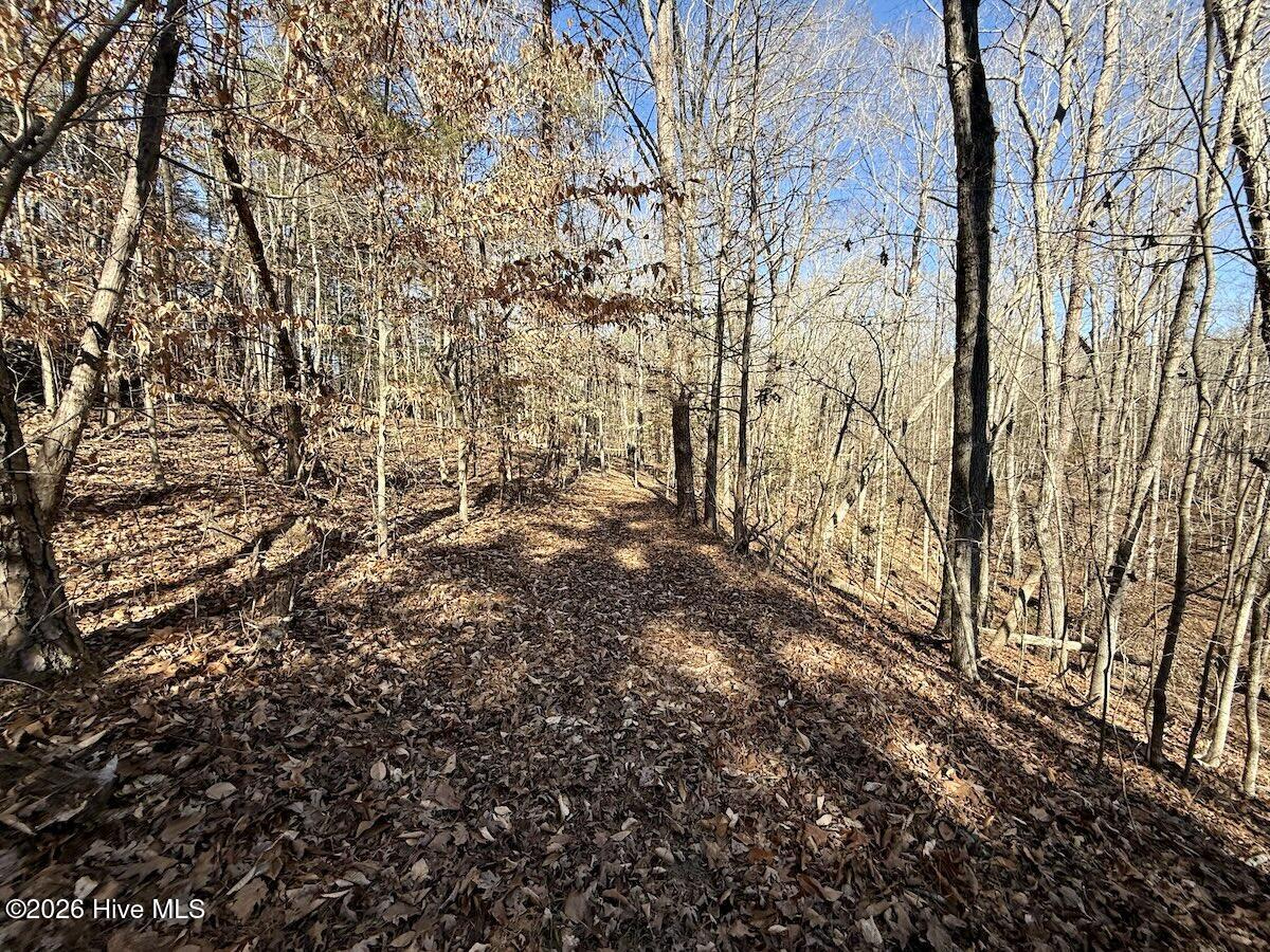 666 Solomon Road Leasburg, NC 27291 - Photo 19 of 49 19