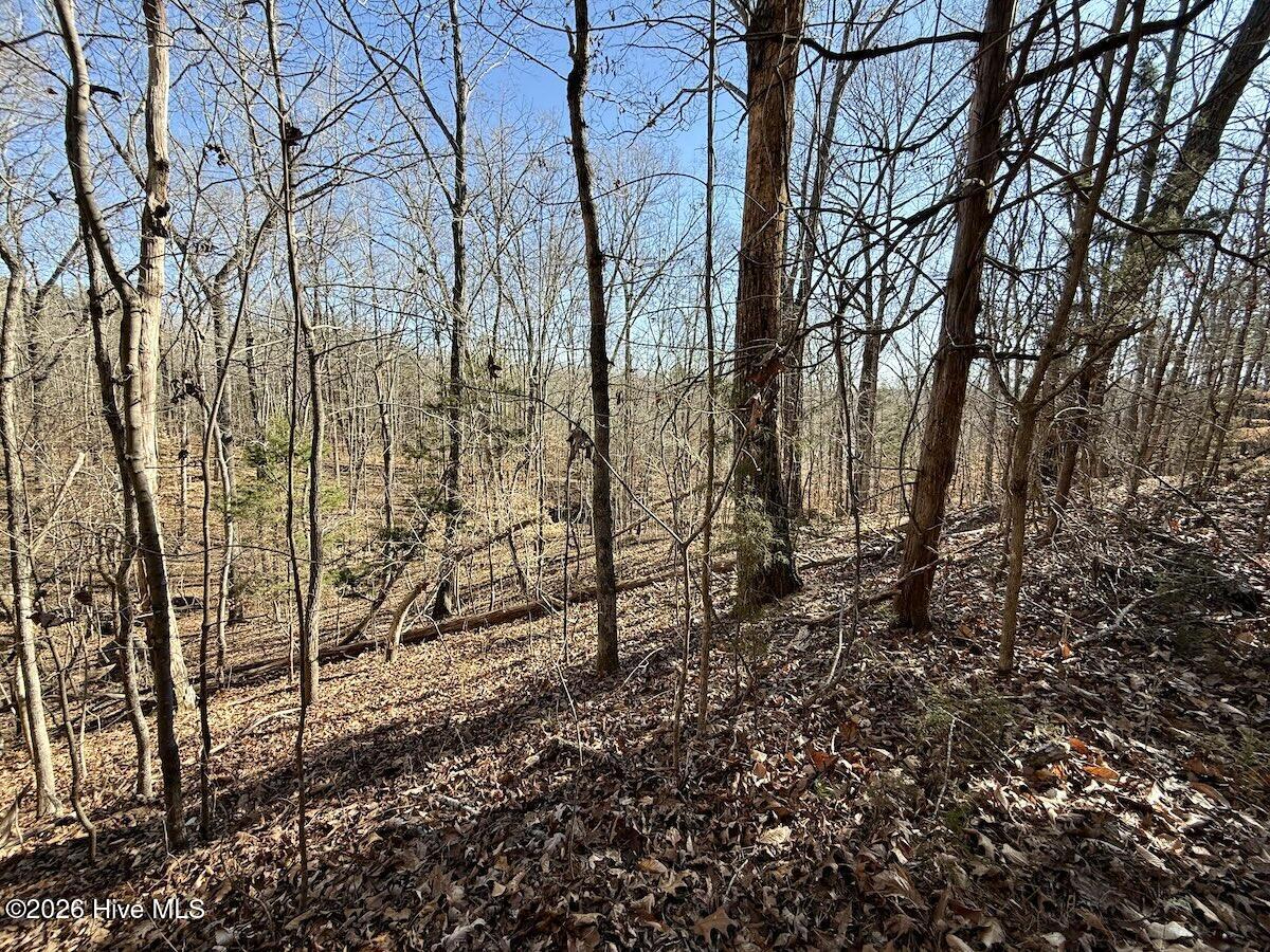 666 Solomon Road Leasburg, NC 27291 - Photo 20 of 49 20