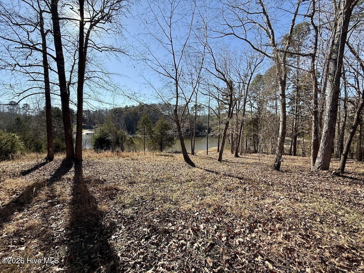 666 Solomon Road Leasburg, NC 27291 - Photo 21 of 49 21