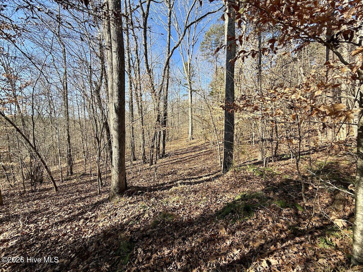 666 Solomon Road Leasburg, NC 27291 - Photo 25 of 49 25