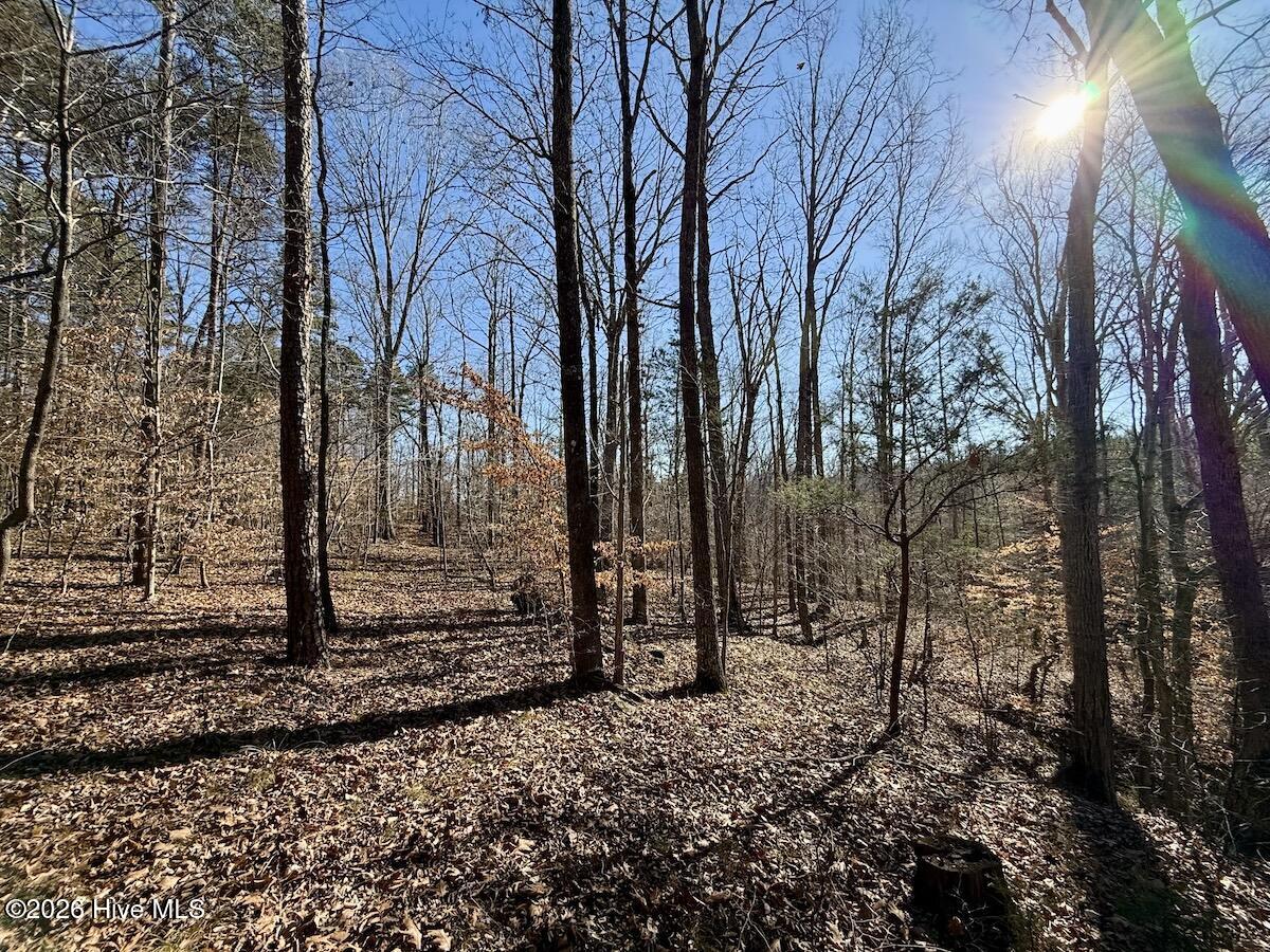 666 Solomon Road Leasburg, NC 27291 - Photo 26 of 49 26