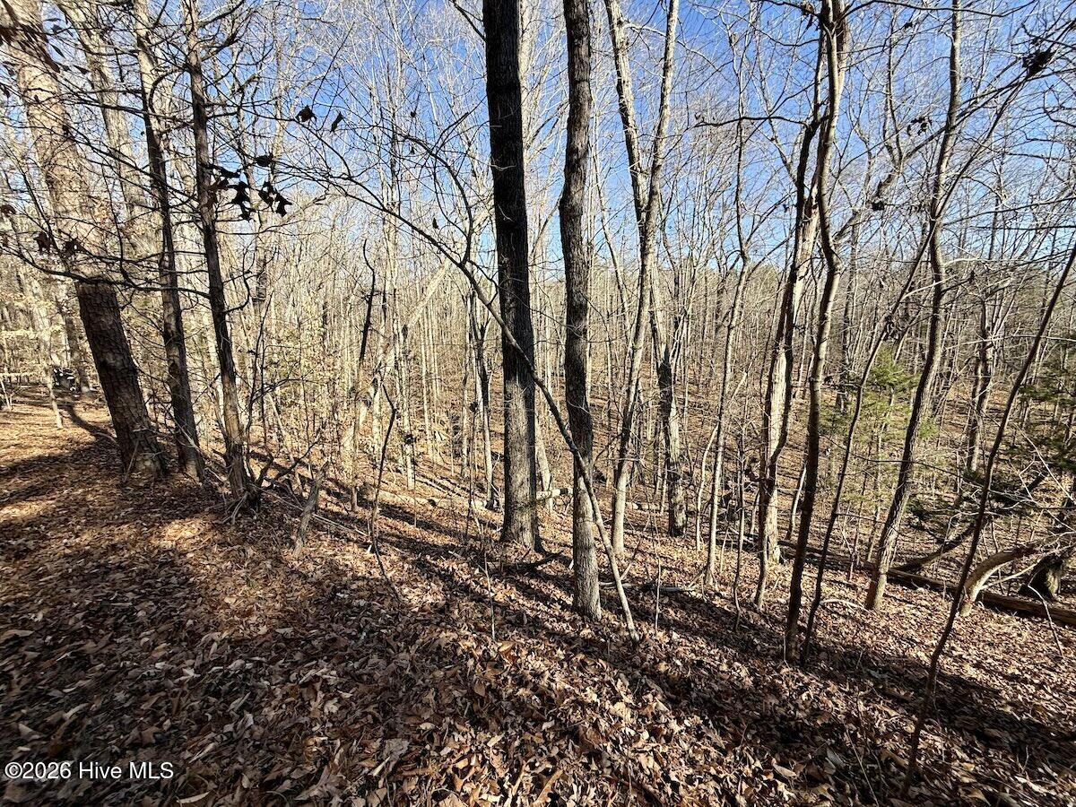 666 Solomon Road Leasburg, NC 27291 - Photo 27 of 49 27