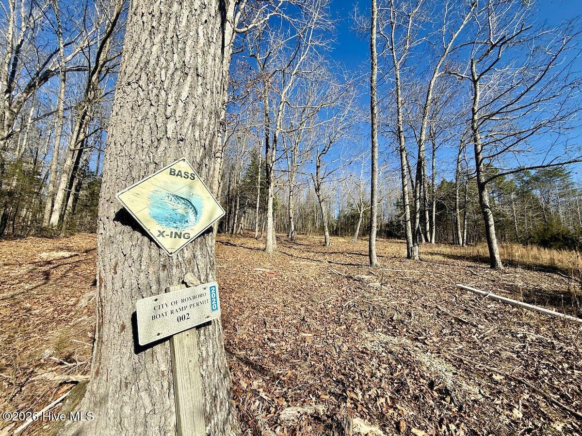 666 Solomon Road Leasburg, NC 27291 - Photo 28 of 49 29