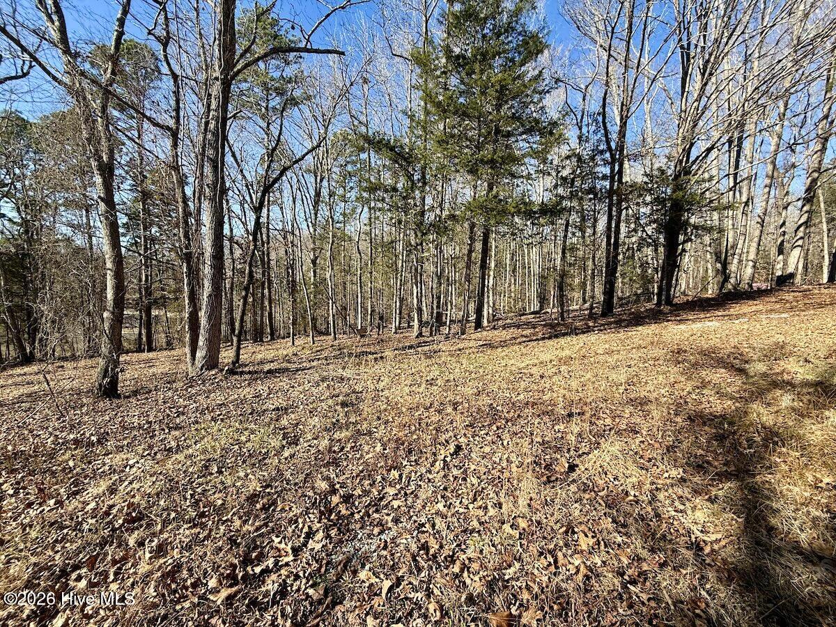 666 Solomon Road Leasburg, NC 27291 - Photo 29 of 49 30