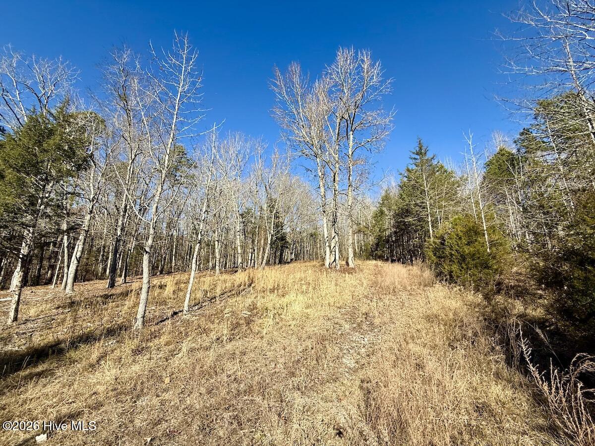 666 Solomon Road Leasburg, NC 27291 - Photo 3 of 49 3