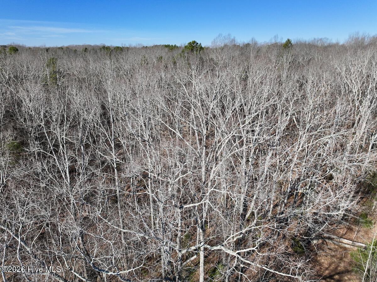666 Solomon Road Leasburg, NC 27291 - Photo 35 of 49 36