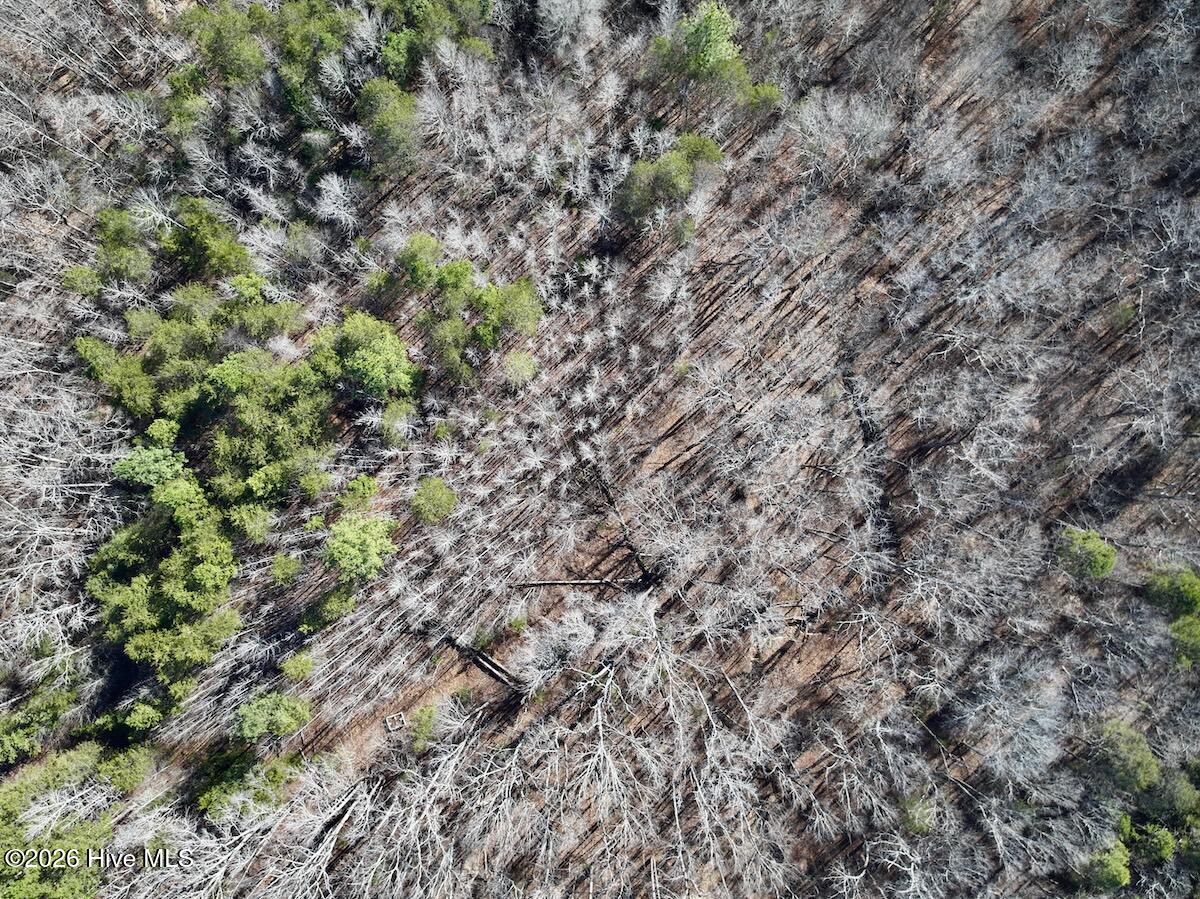 666 Solomon Road Leasburg, NC 27291 - Photo 36 of 49 37