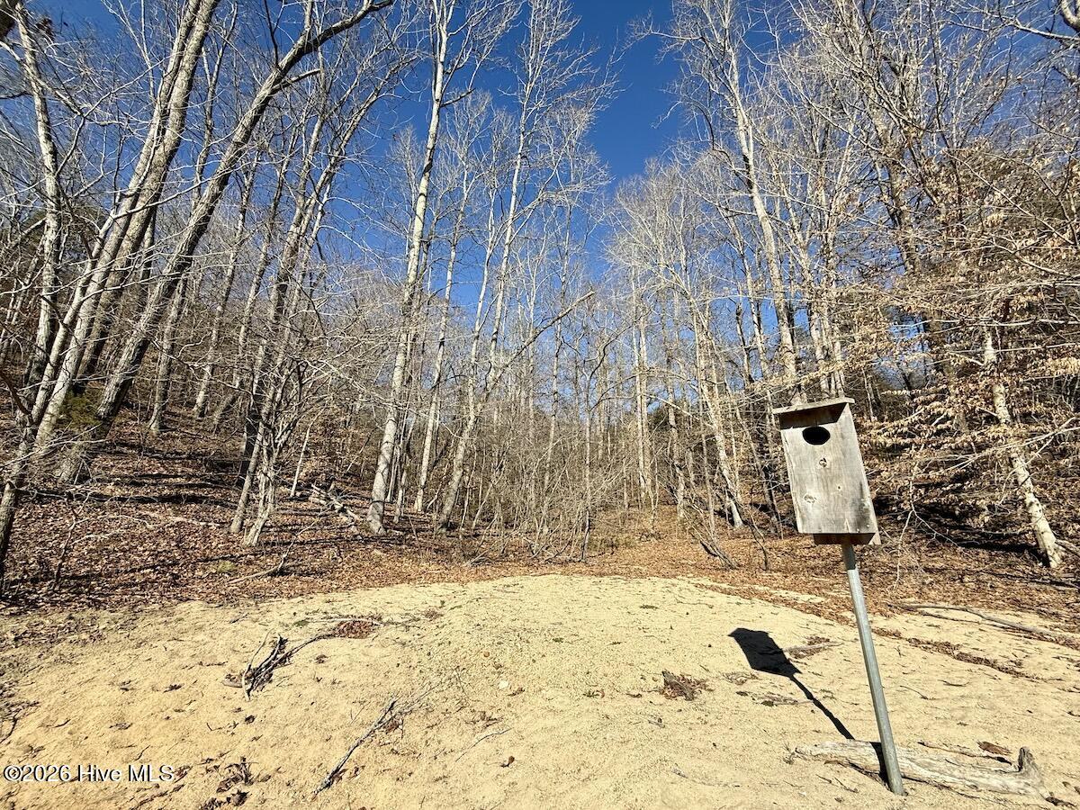 666 Solomon Road Leasburg, NC 27291 - Photo 37 of 49 38