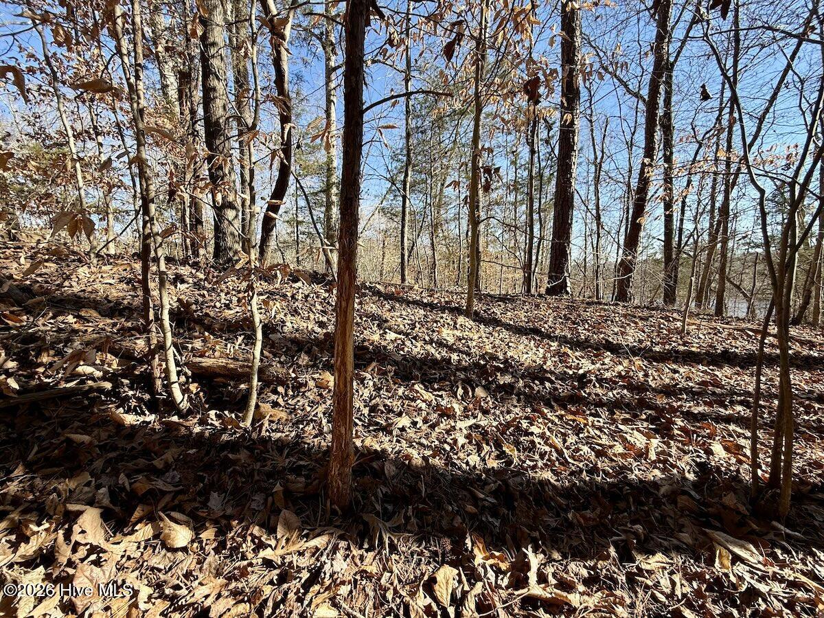 666 Solomon Road Leasburg, NC 27291 - Photo 38 of 49 39