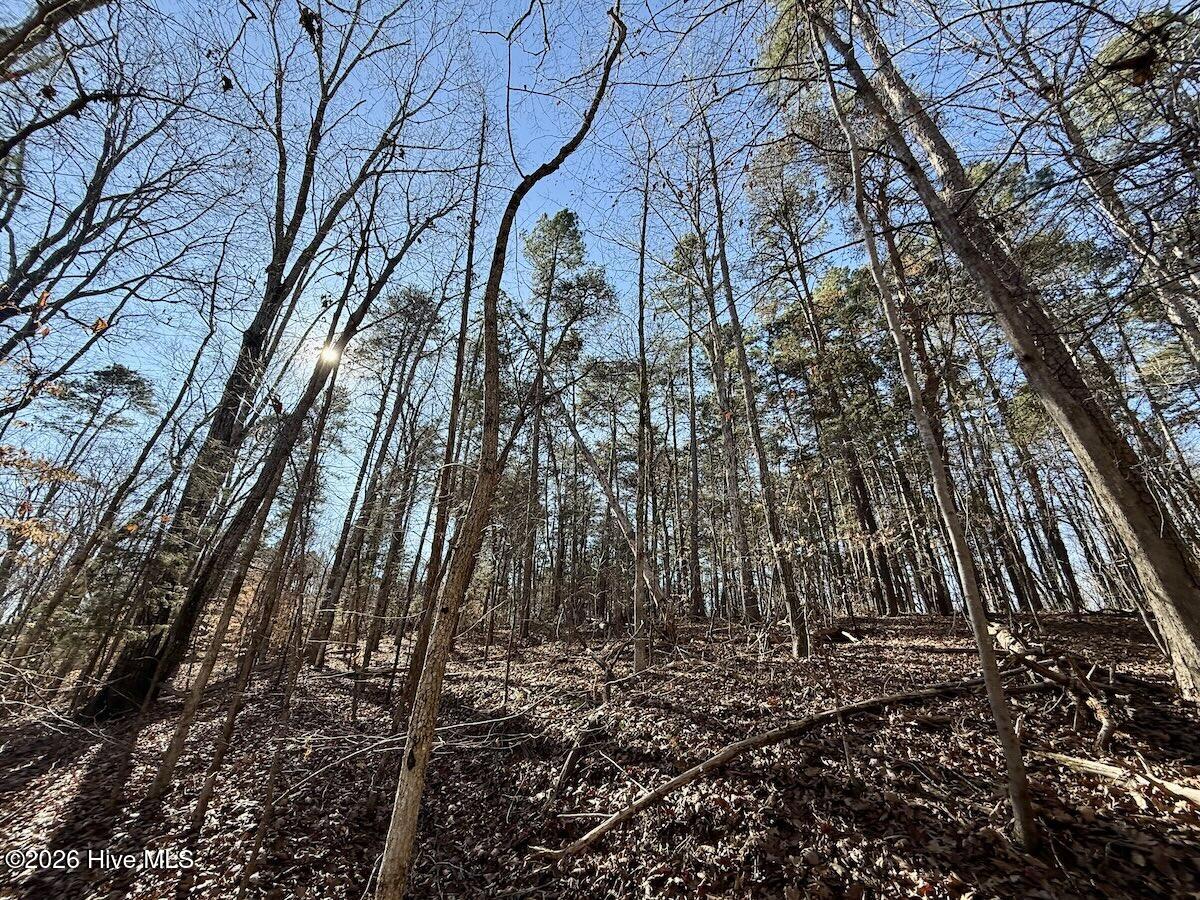 666 Solomon Road Leasburg, NC 27291 - Photo 39 of 49 40