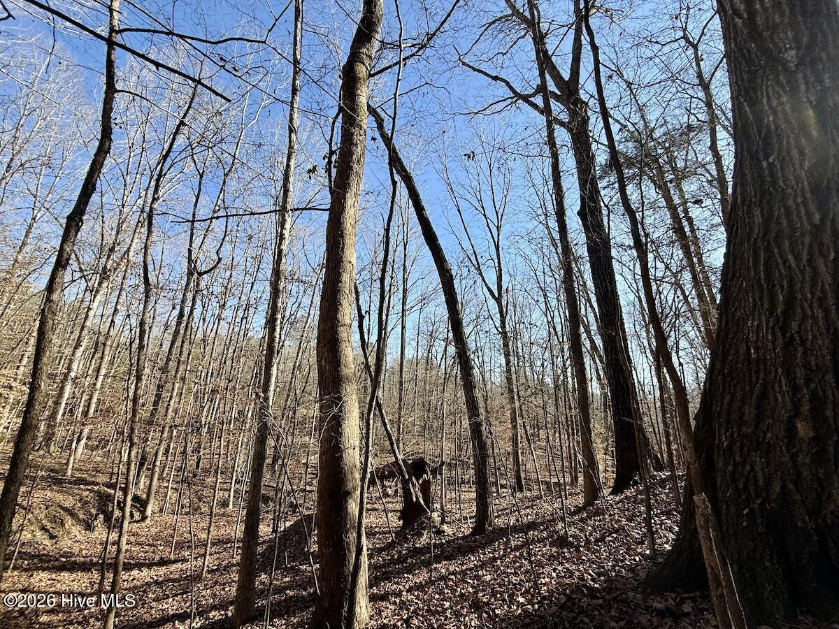 666 Solomon Road Leasburg, NC 27291 - Photo 40 of 49 41