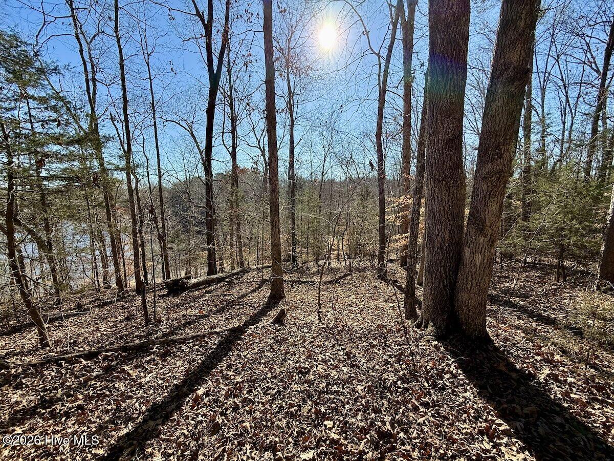 666 Solomon Road Leasburg, NC 27291 - Photo 4 of 49 4