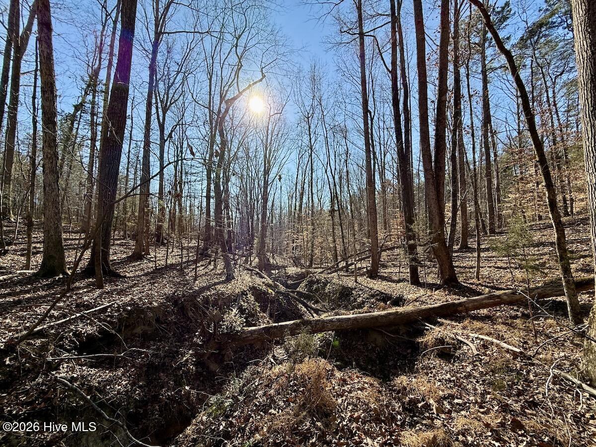 666 Solomon Road Leasburg, NC 27291 - Photo 41 of 49 42