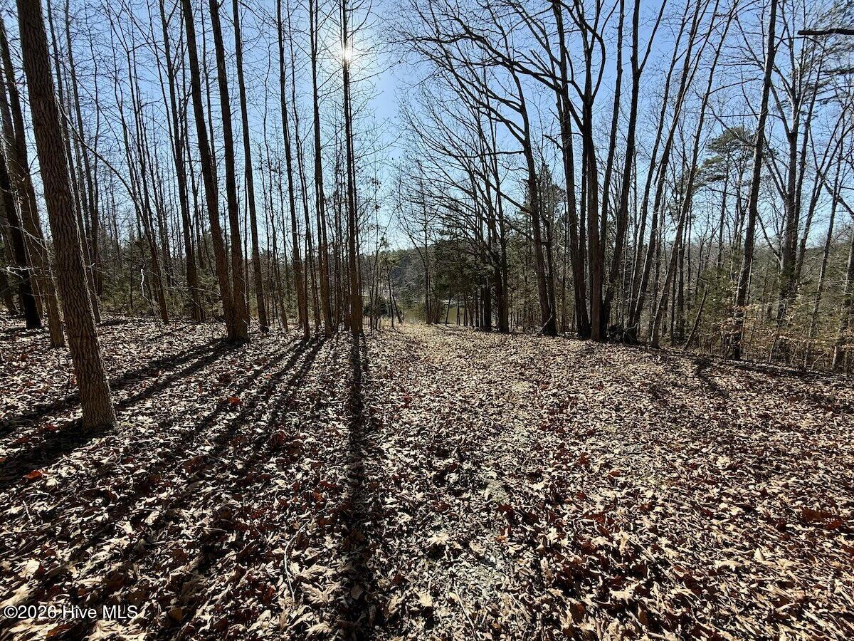 666 Solomon Road Leasburg, NC 27291 - Photo 43 of 49 45