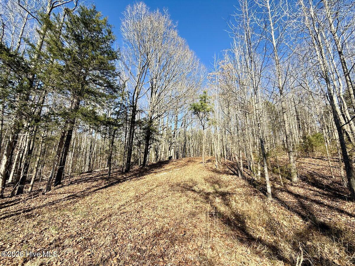 666 Solomon Road Leasburg, NC 27291 - Photo 44 of 49 46