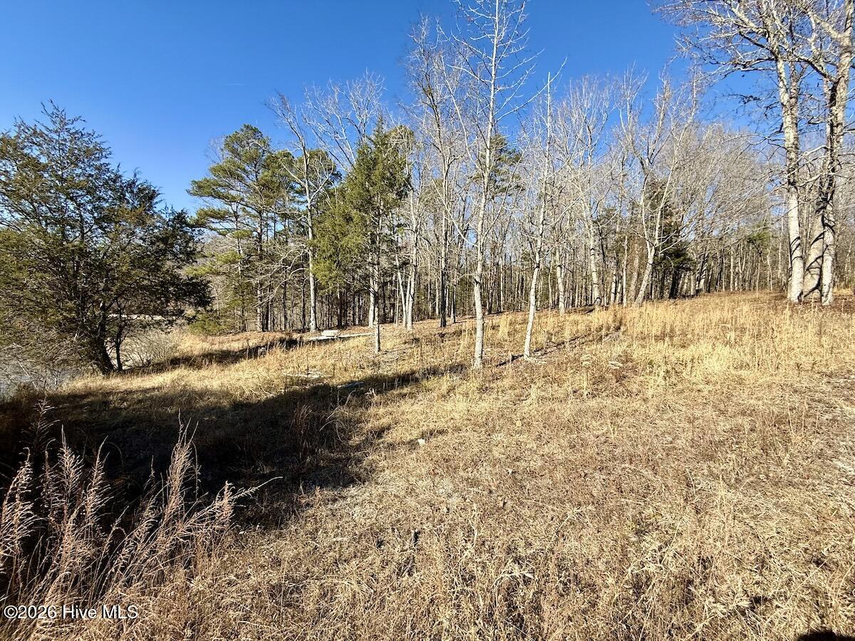 666 Solomon Road Leasburg, NC 27291 - Photo 45 of 49 47