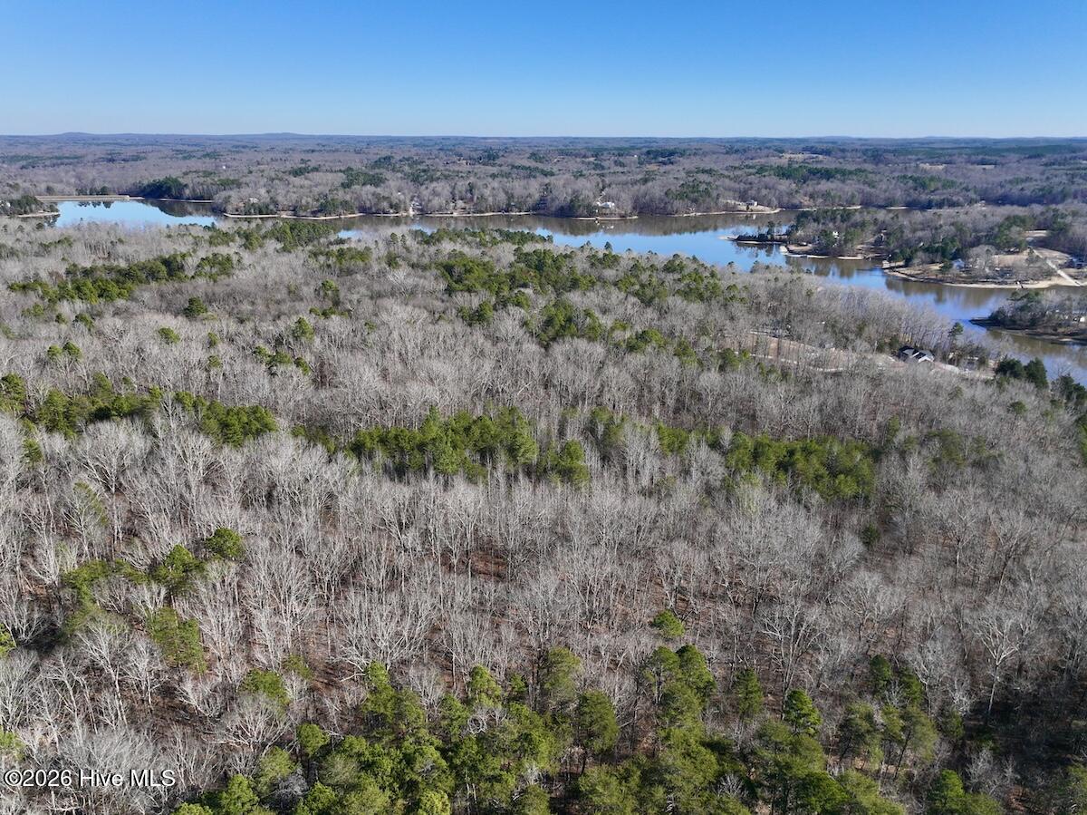 666 Solomon Road Leasburg, NC 27291 - Photo 5 of 49 5