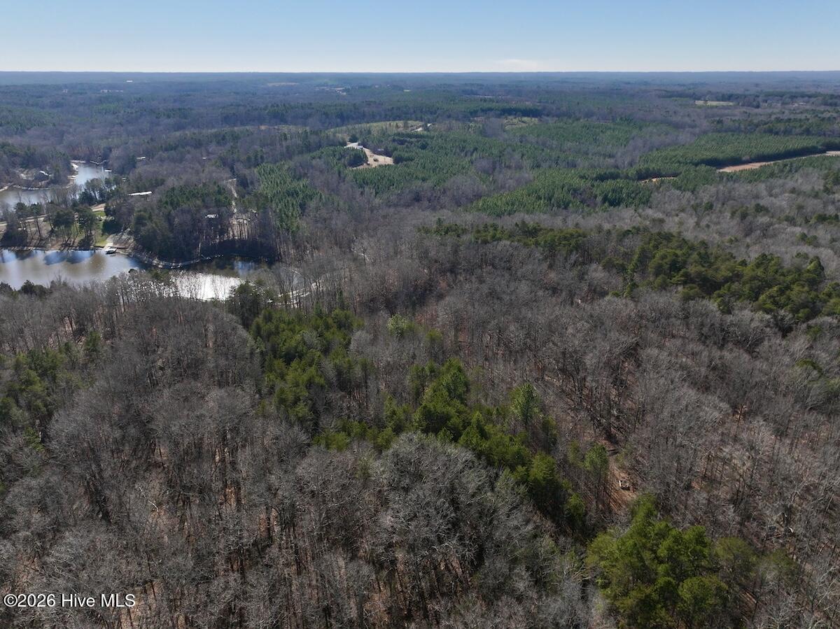 666 Solomon Road Leasburg, NC 27291 - Photo 7 of 49 7