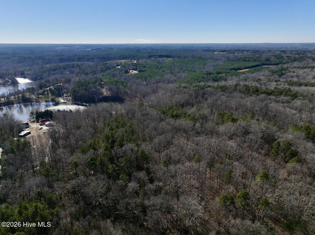 666 Solomon Road Leasburg, NC 27291 - Photo 8 of 49 8