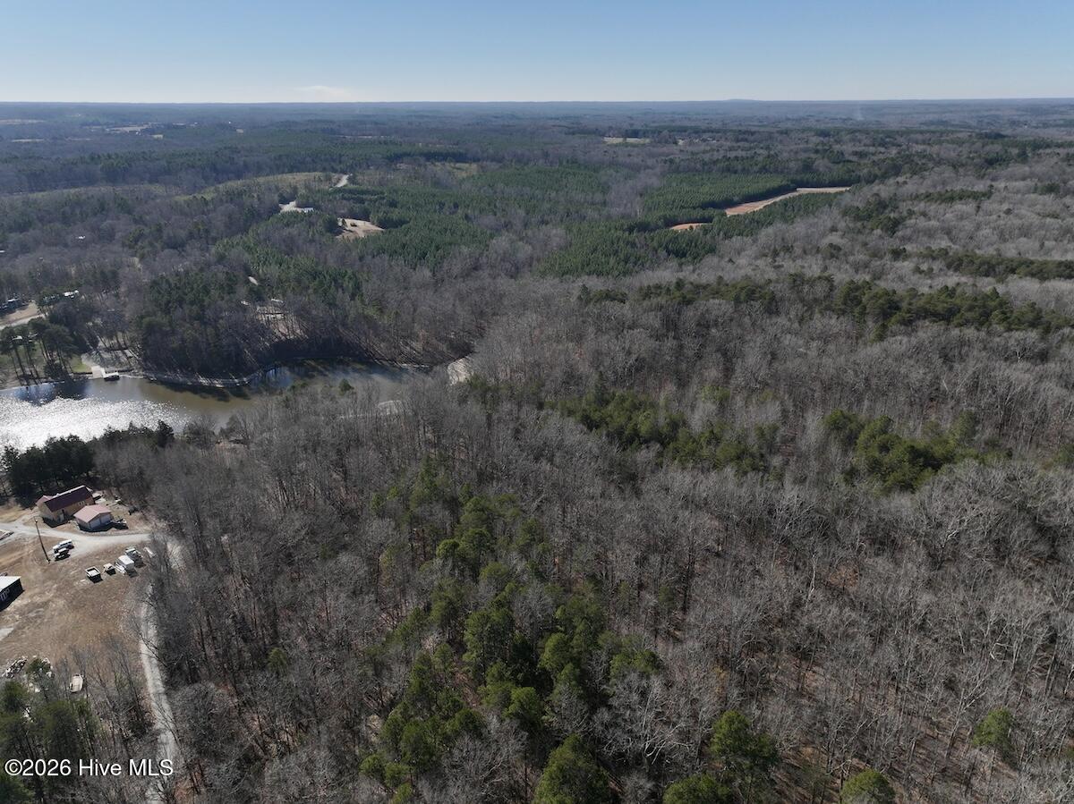666 Solomon Road Leasburg, NC 27291 - Photo 9 of 49 9