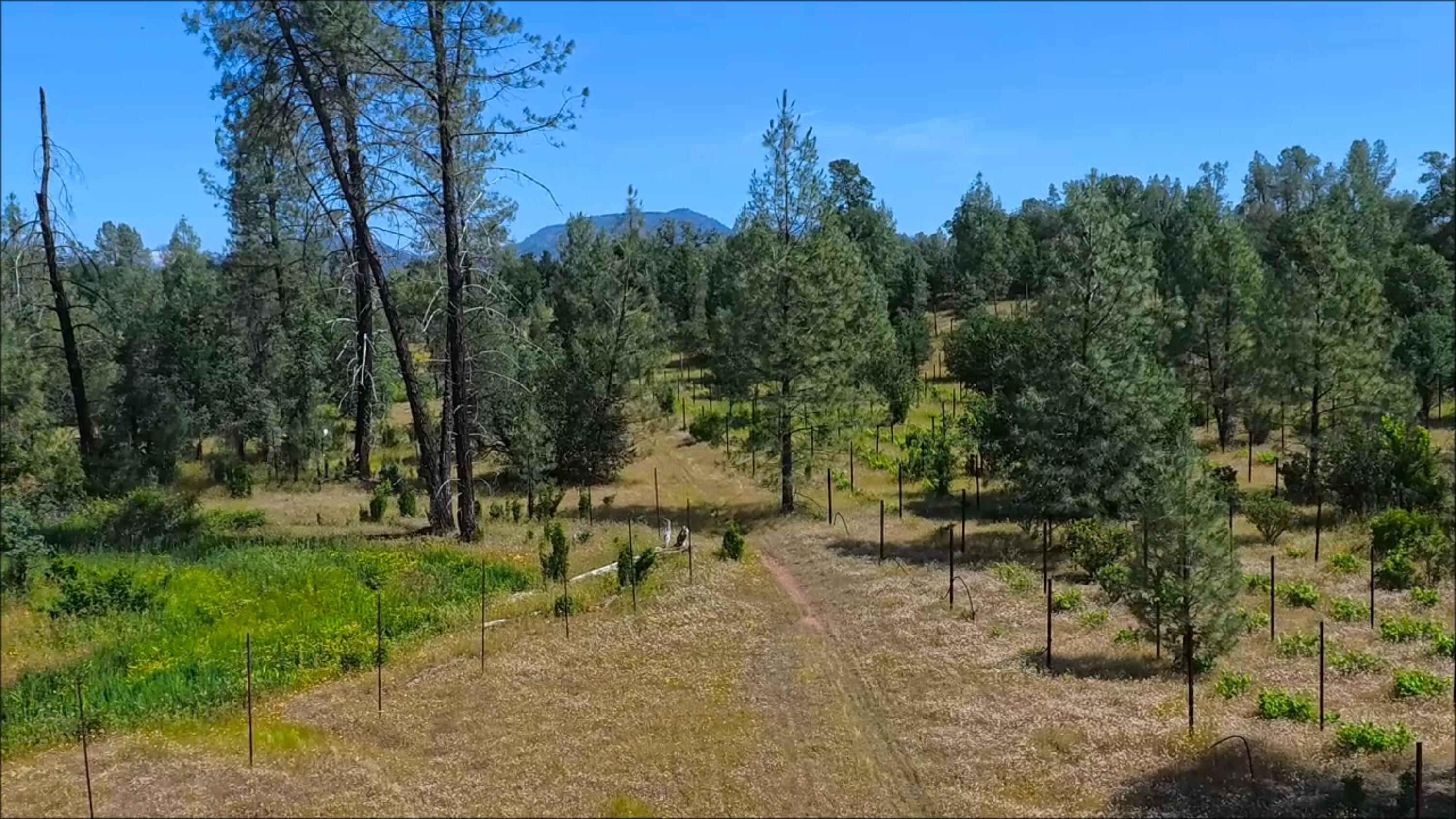0 Wanda Lane Redding, CA 96003 - Photo 1 of 48 Property