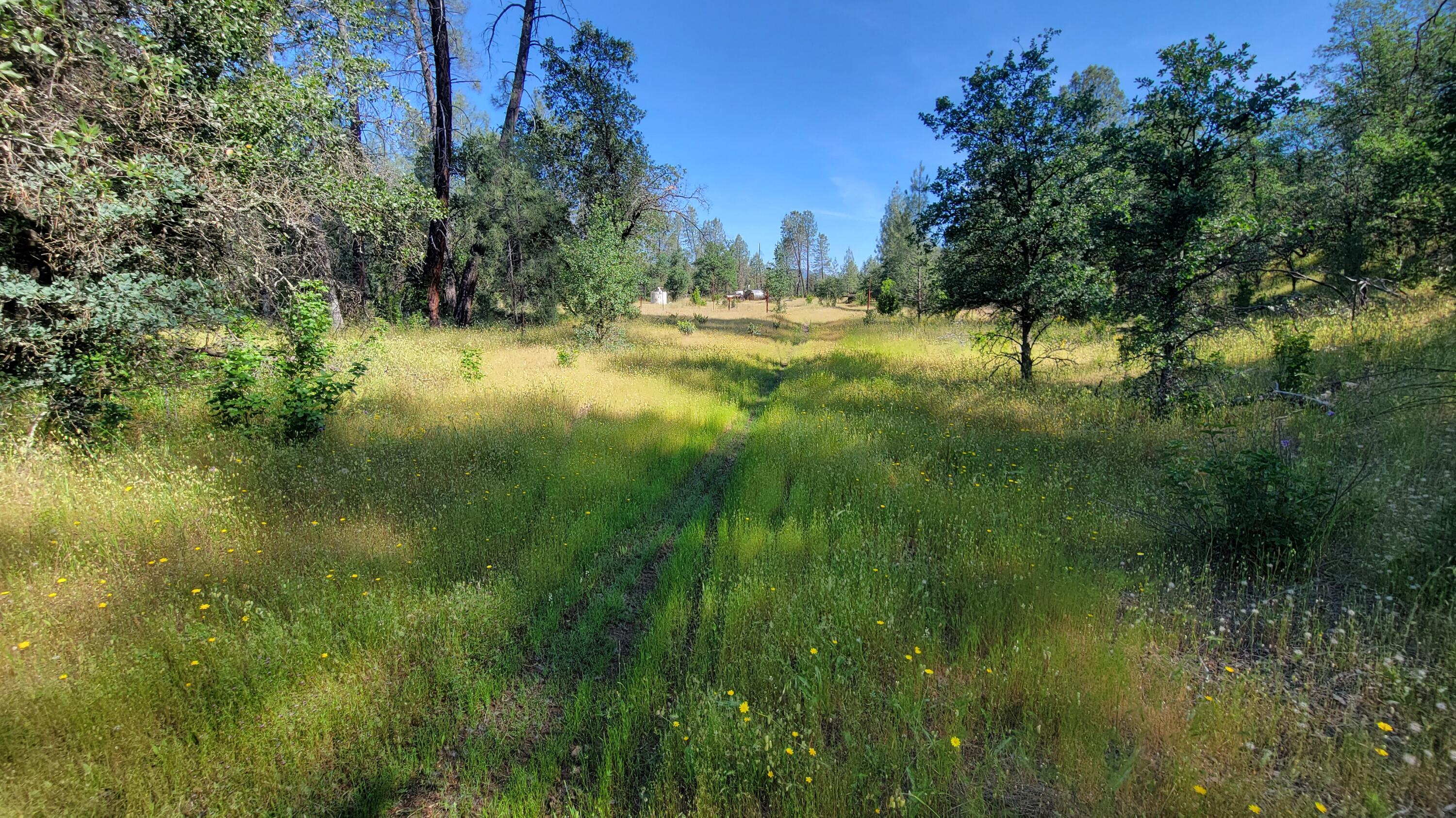 0 Wanda Lane Redding, CA 96003 - Photo 24 of 48 20260511_095301