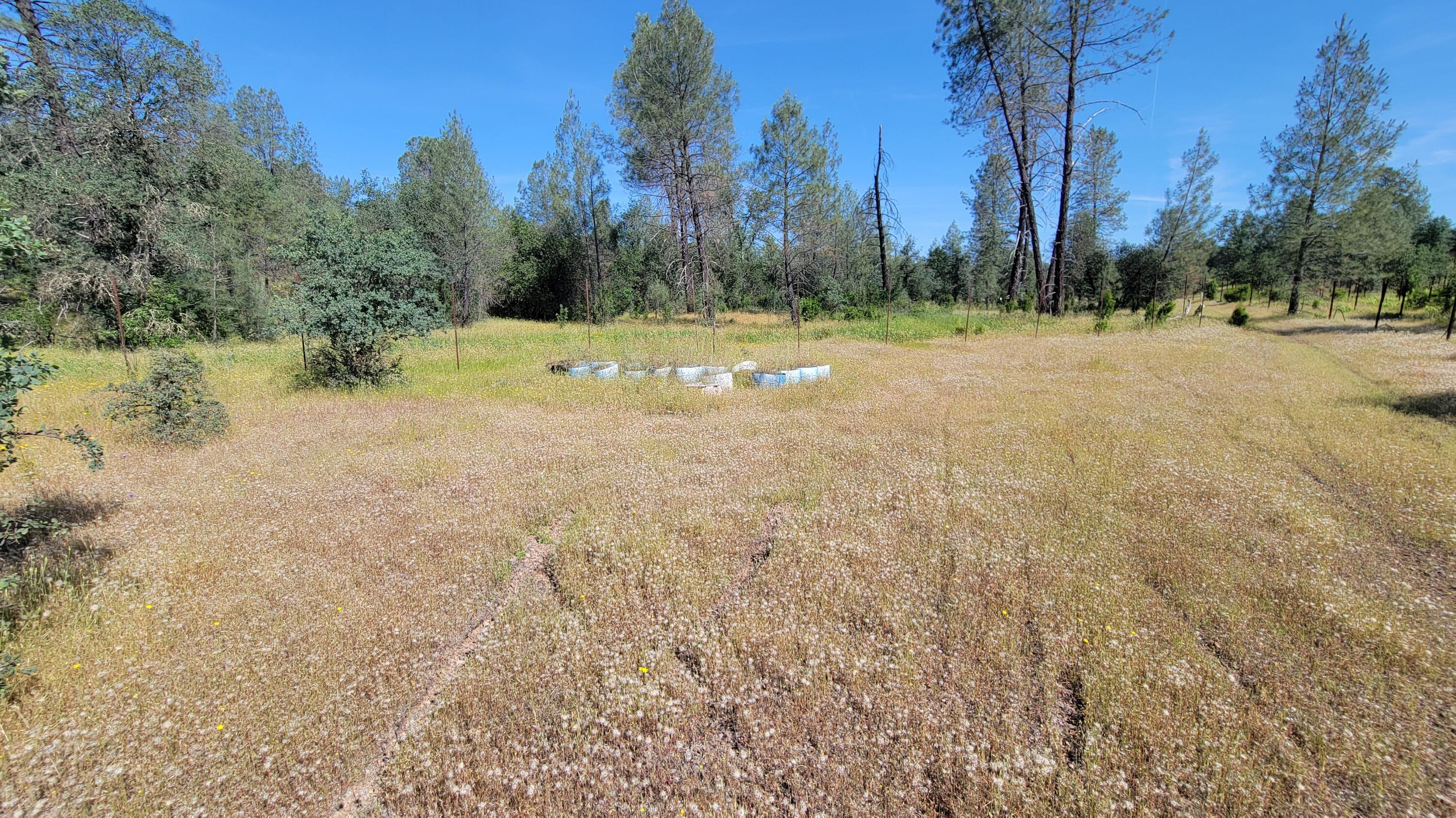 0 Wanda Lane Redding, CA 96003 - Photo 34 of 48 20260511_095852