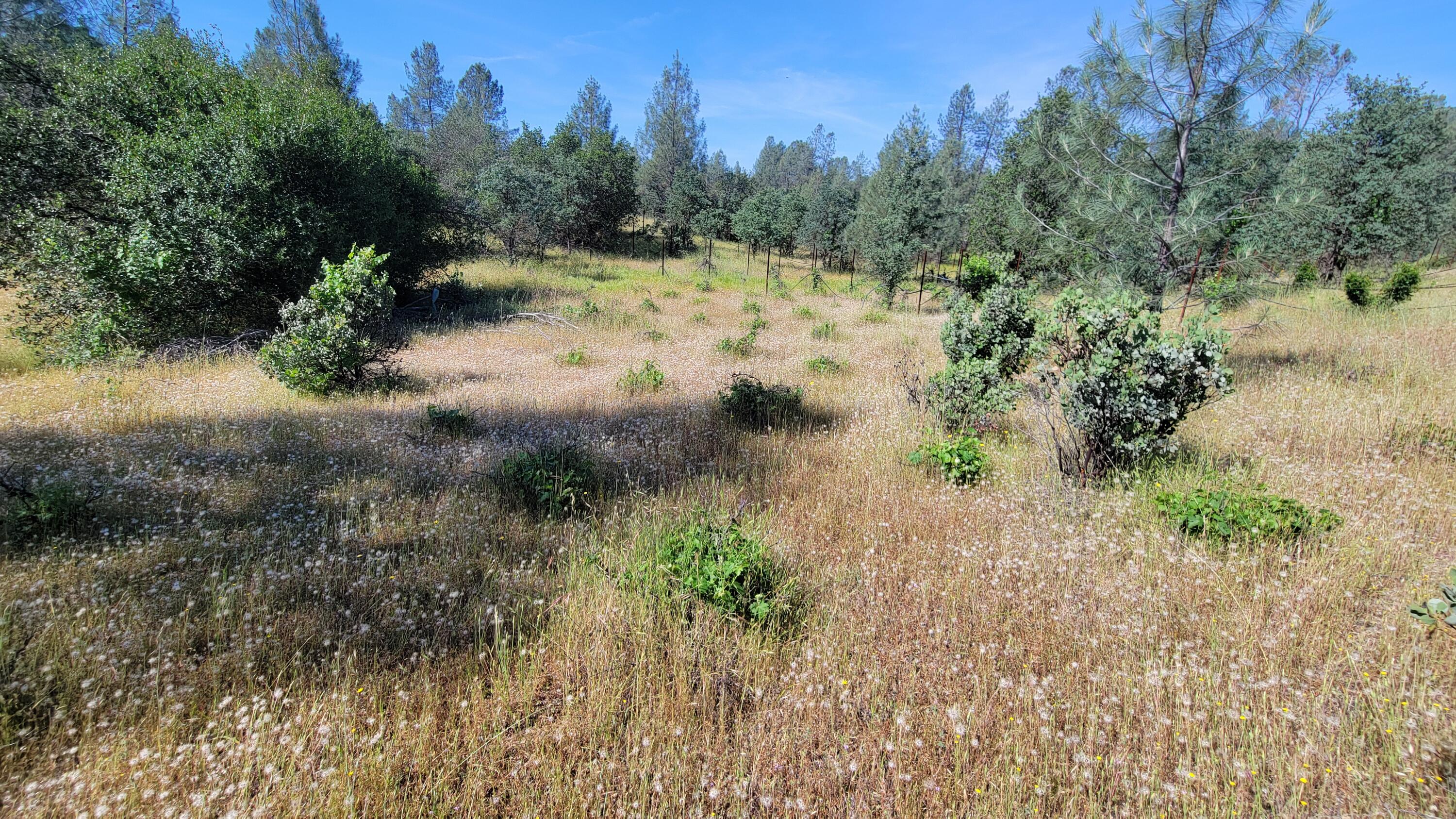 0 Wanda Lane Redding, CA 96003 - Photo 44 of 48 20260511_100823