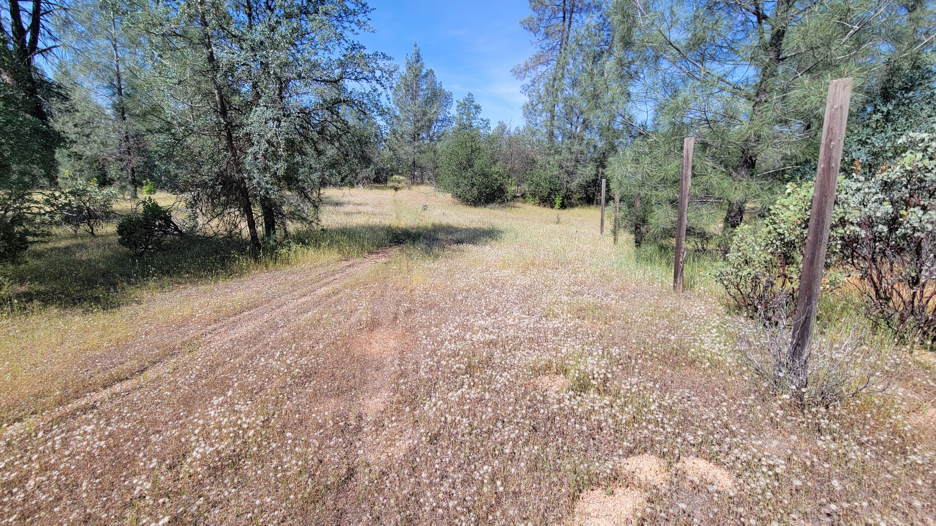 0 Wanda Lane Redding, CA 96003 - Photo 47 of 48 20260511_101616