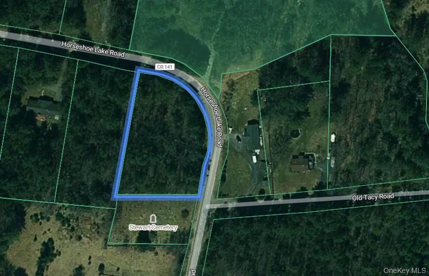 Horseshoe Lake Road Narrowsburg, NY 12764 - Photo 5 of 5
