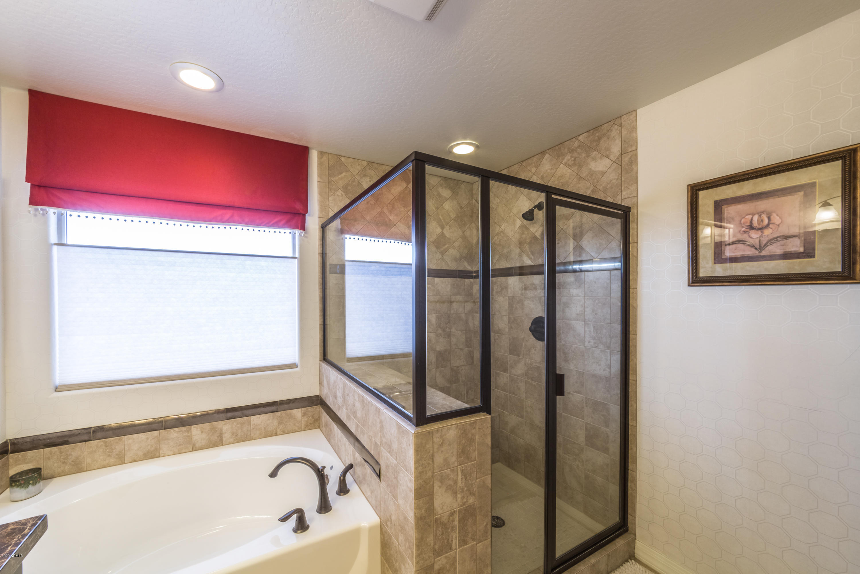 15283 West Charter Oak Road Surprise, AZ 85379 - Photo 21 of 33 MasterTubShower