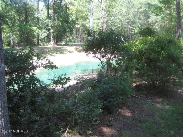 505 Deer Path Calabash, NC 28467 - Photo 25 of 33 Photo 170802 WhS - Deerpath 505 (40)