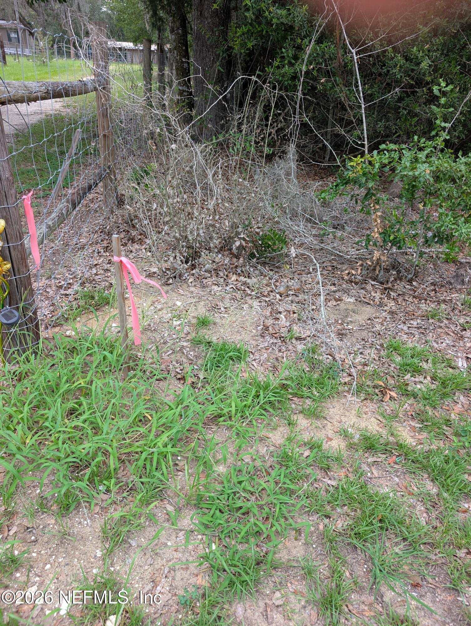 238 Keuka Road Interlachen, FL 32148 - Photo 7 of 11 238 KEUKA RD SURVEY STAKE NORTH CORNER