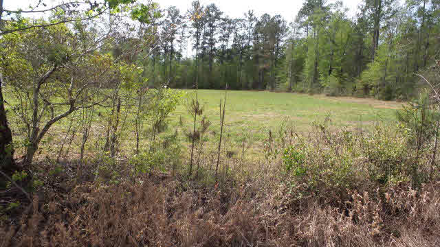 0 Fairford Road Calvert, AL 36513 - Photo 7 of 13