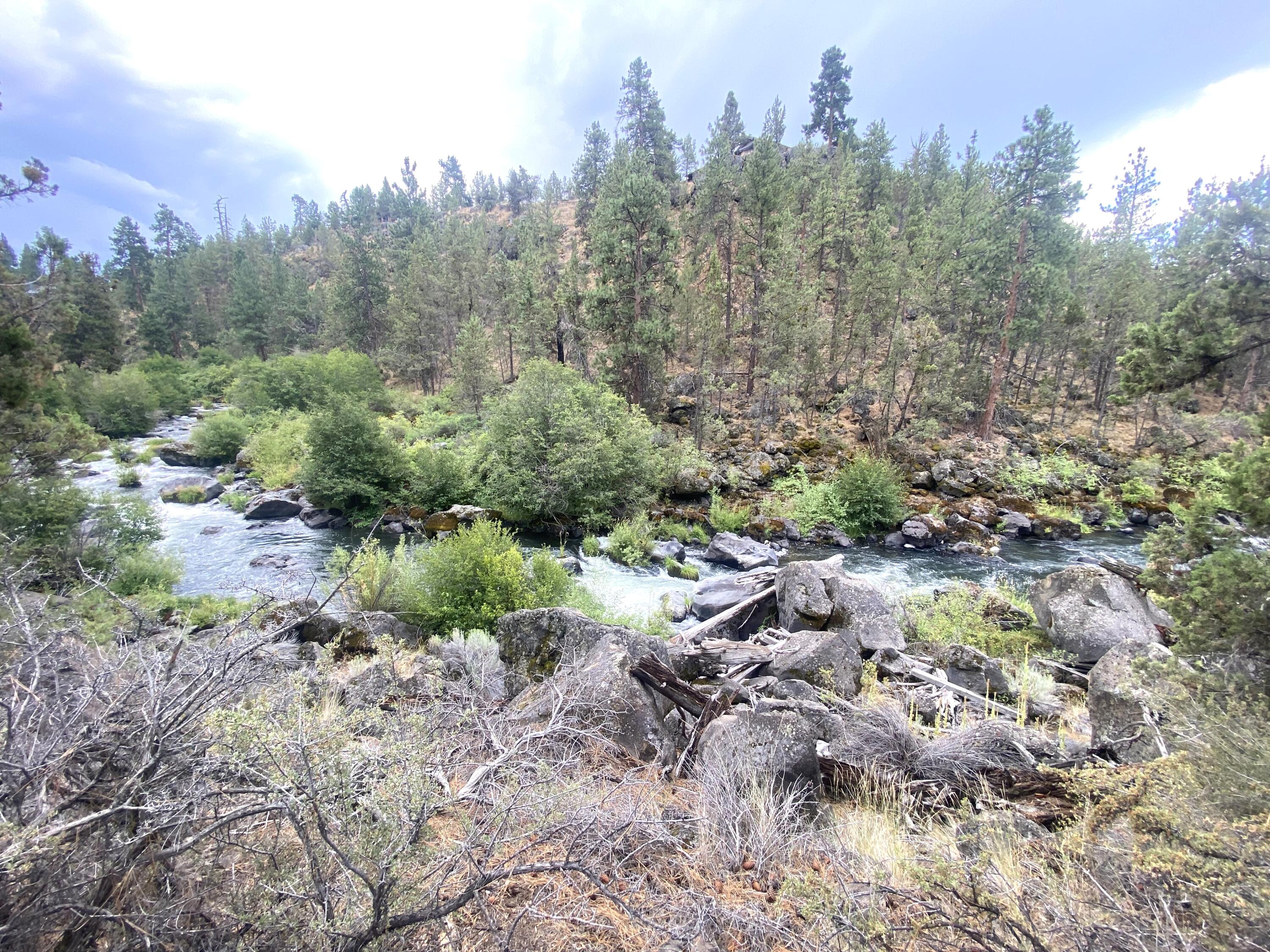 20045 Chaney Road Bend, OR 97703 - Photo 67 of 69 67