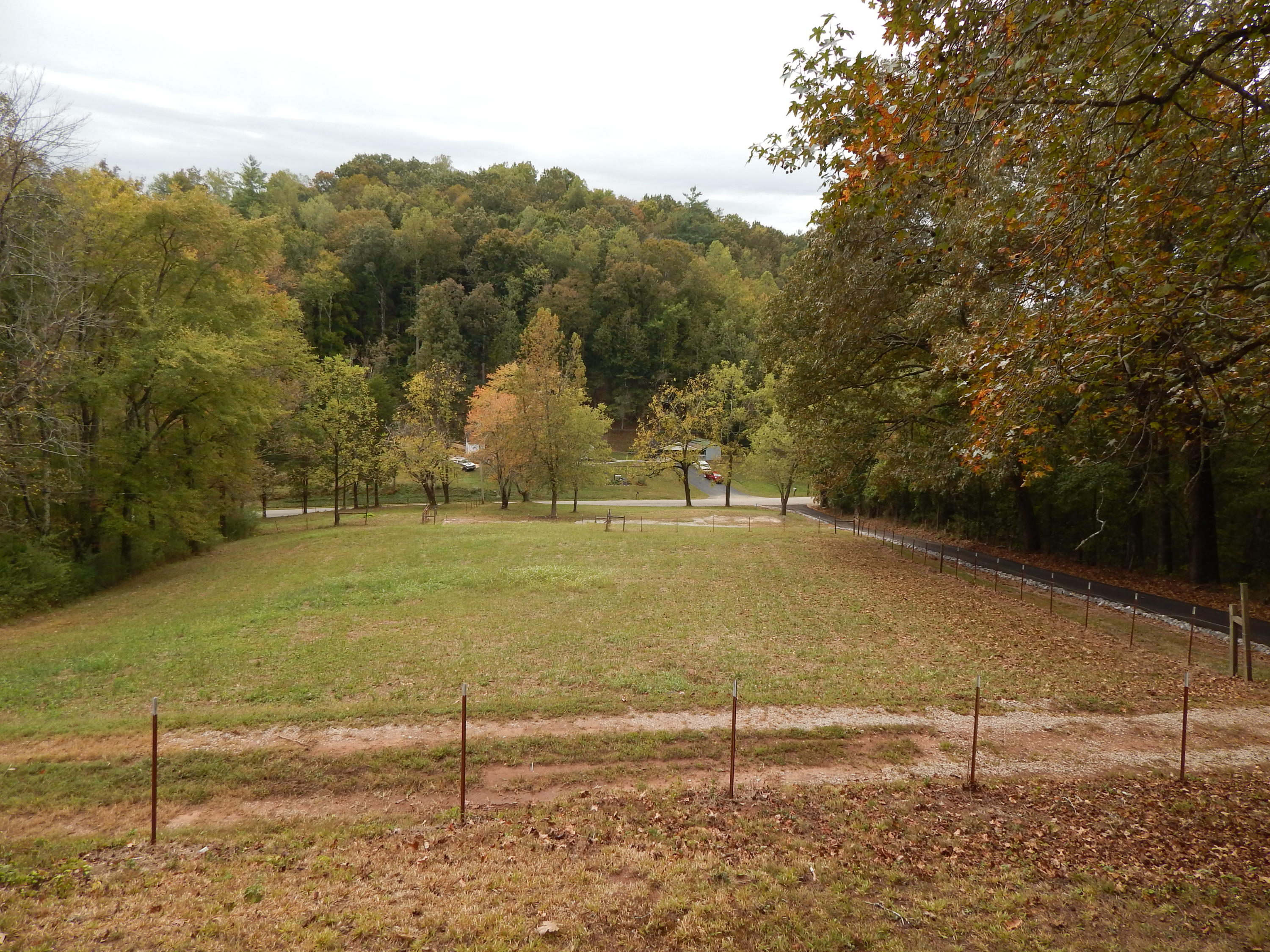 1423 Webster Road Harriman, TN 37748 - Photo 5 of 32 DSCN4023