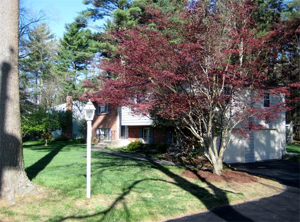 180 David Road Franklin, MA 02038 - Photo 21 of 21 Gallery Image 21
