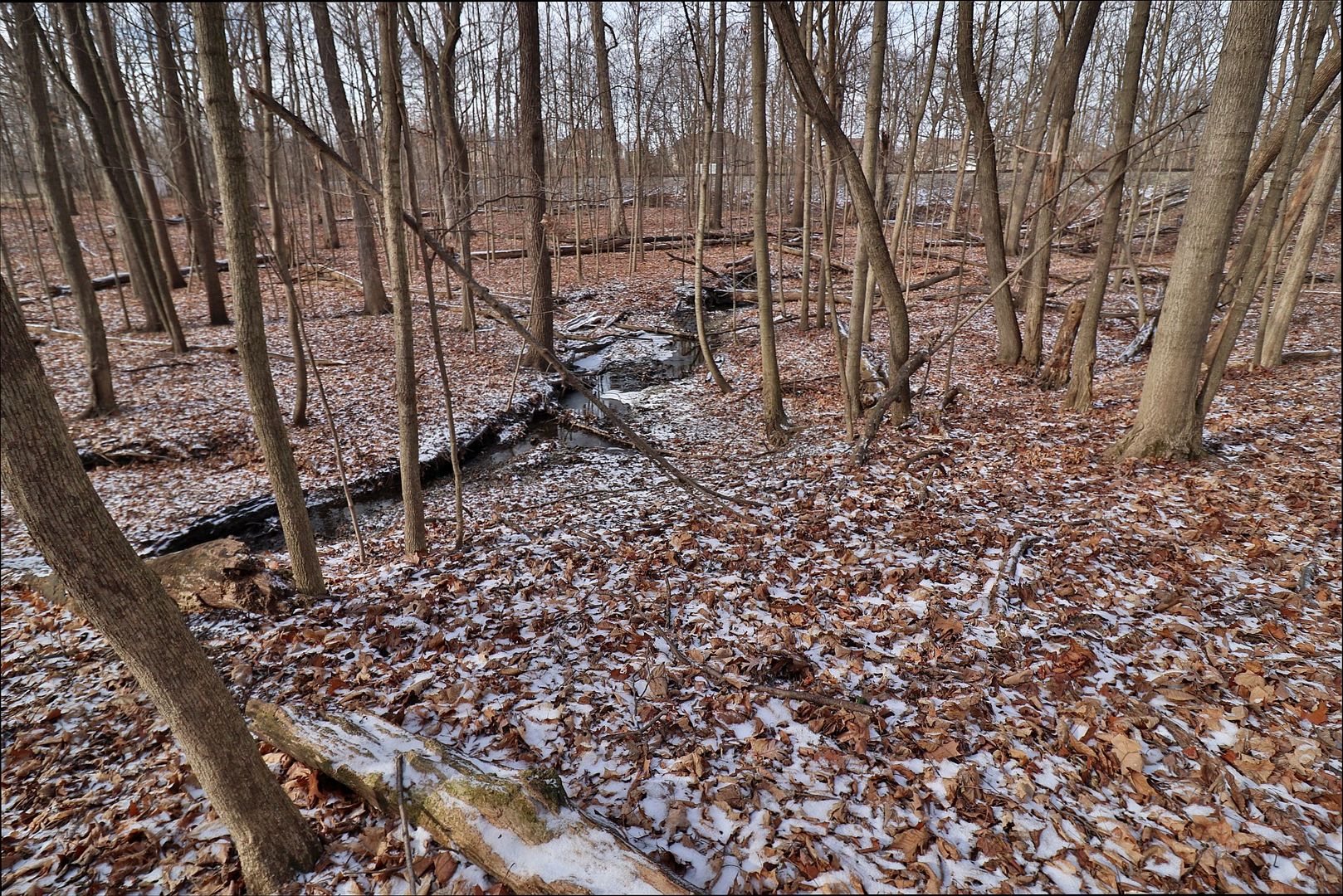20120 West Brightway Road Mokena, IL 60448 - Photo 24 of 32 a view of a yard with lots of green space