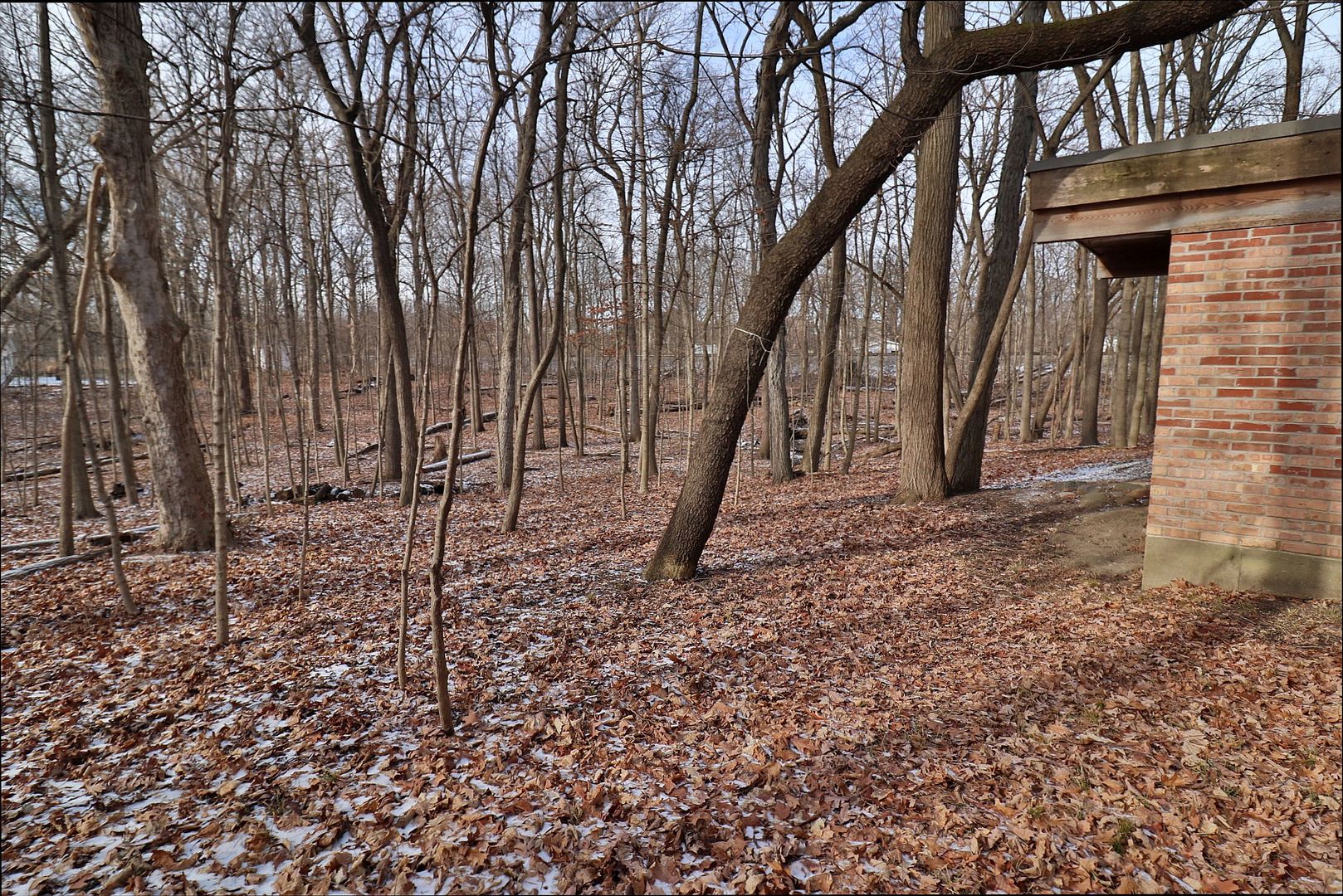 20120 West Brightway Road Mokena, IL 60448 - Photo 25 of 32 a backyard of a house with lots of green space
