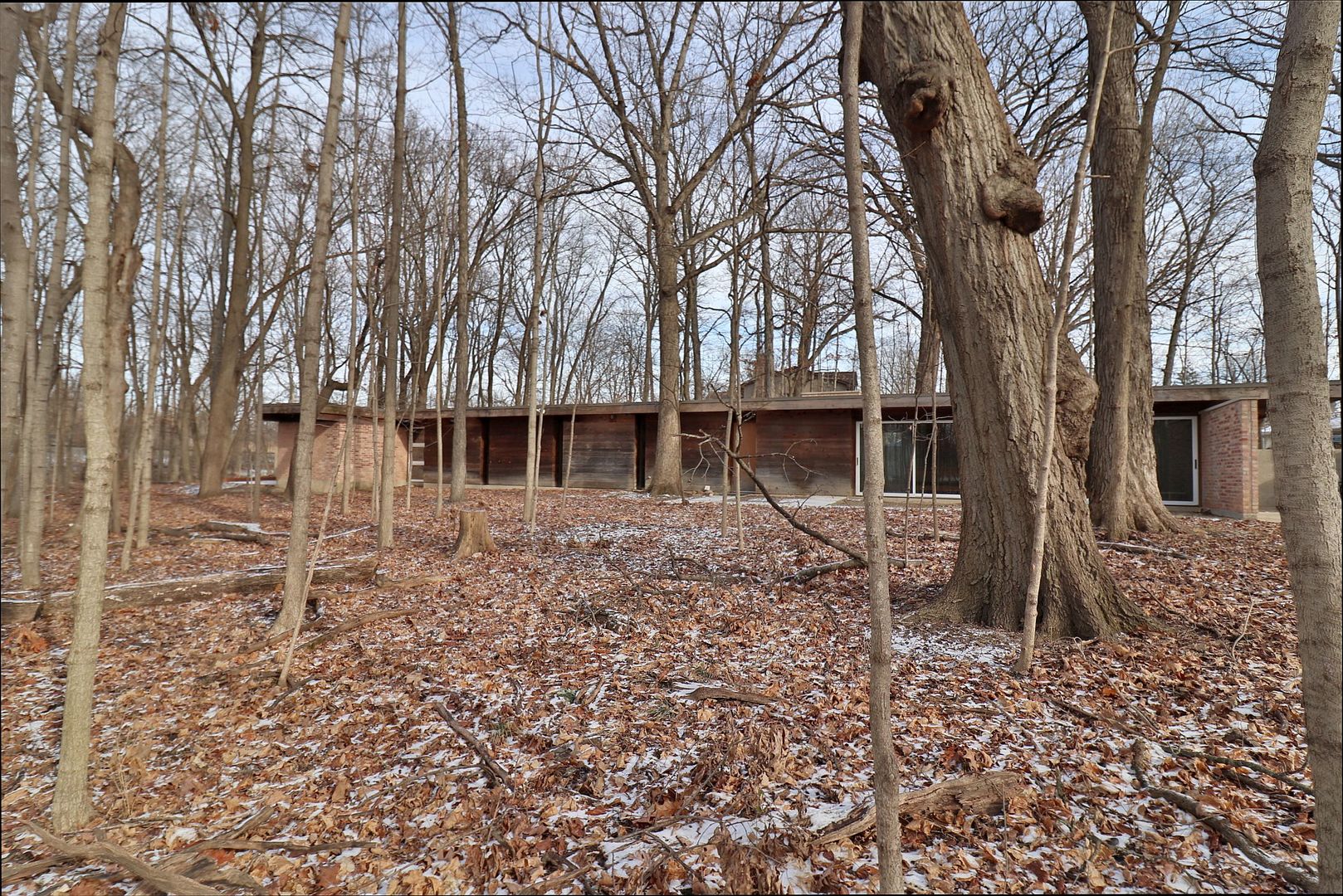 20120 West Brightway Road Mokena, IL 60448 - Photo 6 of 32 a backyard of a house with lots of green space