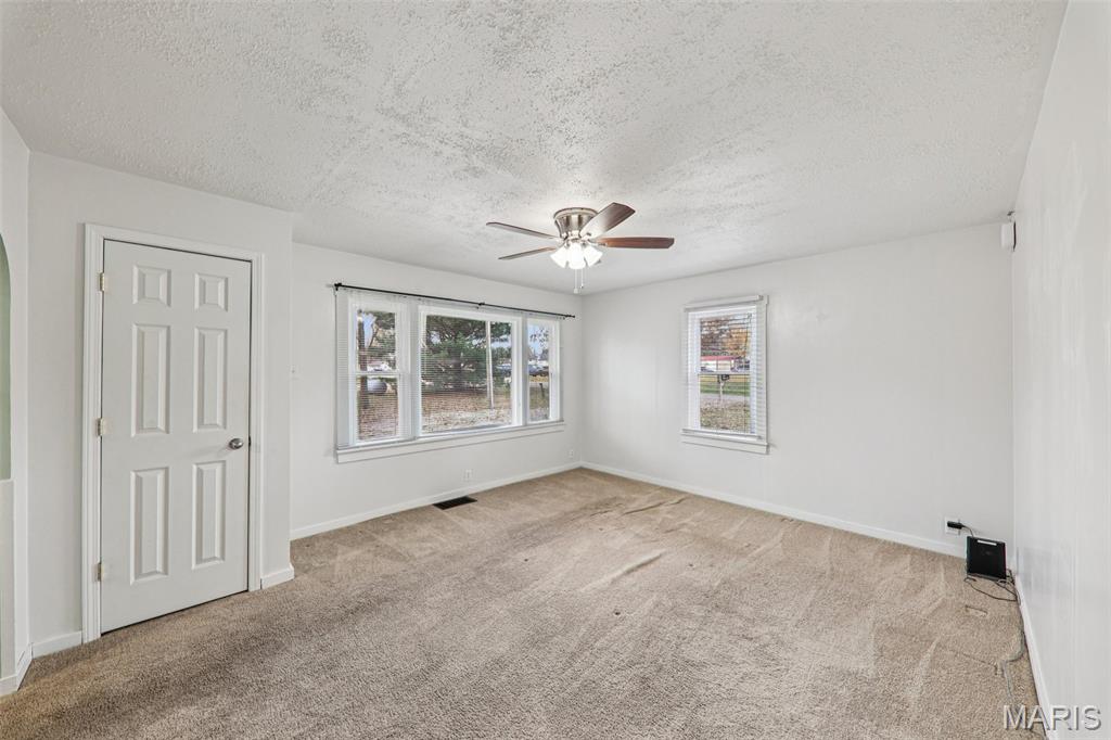 242 Hickory Road Pocahontas, IL 62275 - Photo 6 of 42