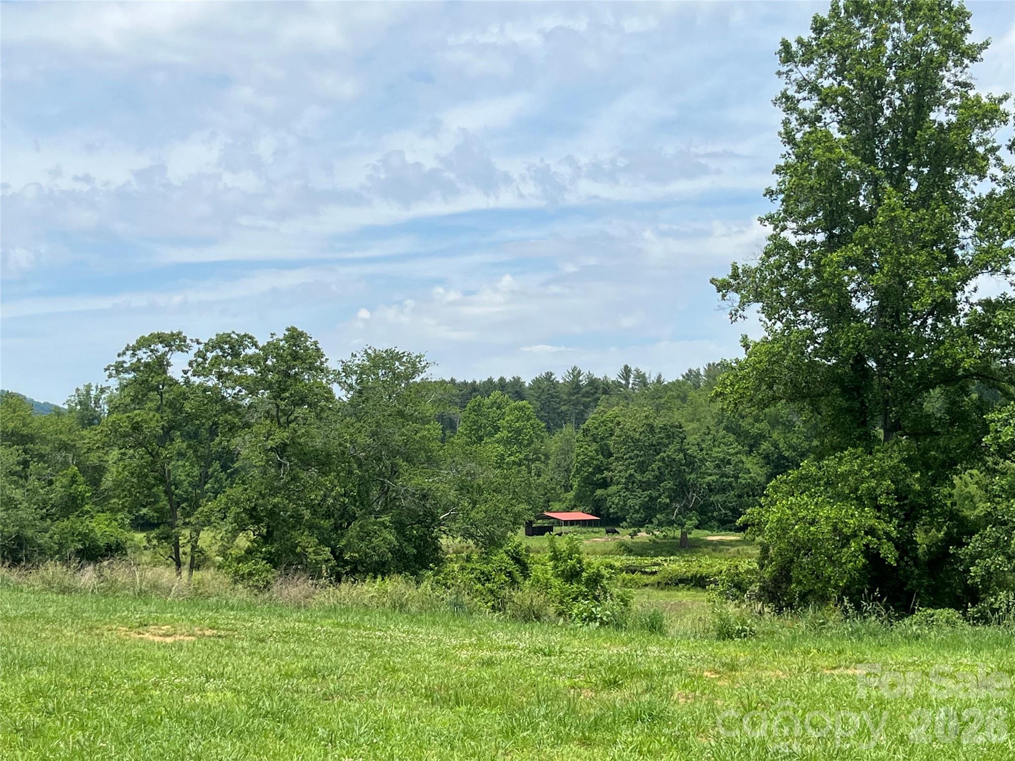 99999 Jones Road Fletcher, NC 28732 - Photo 17 of 17
