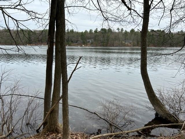 Reynolds Road, Unit LOT: B Lake Ann, MI 49650 - Photo 8 of 21
