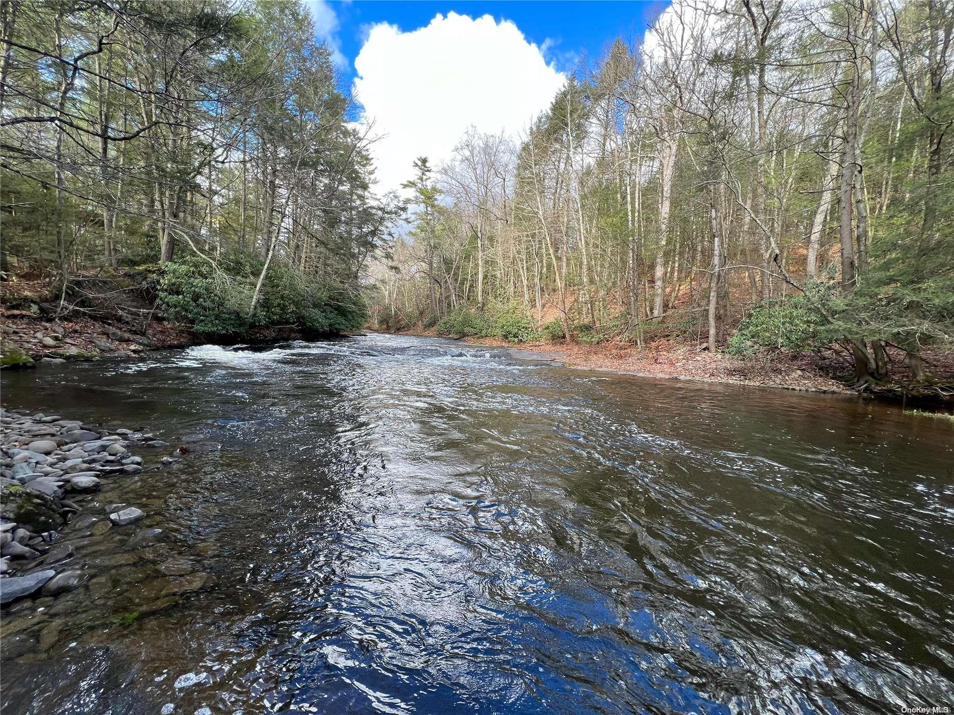 127 Kirkwood Road Stroudsburg, PA 18360 - Photo 19 of 20 a backyard of a house with lots of green space