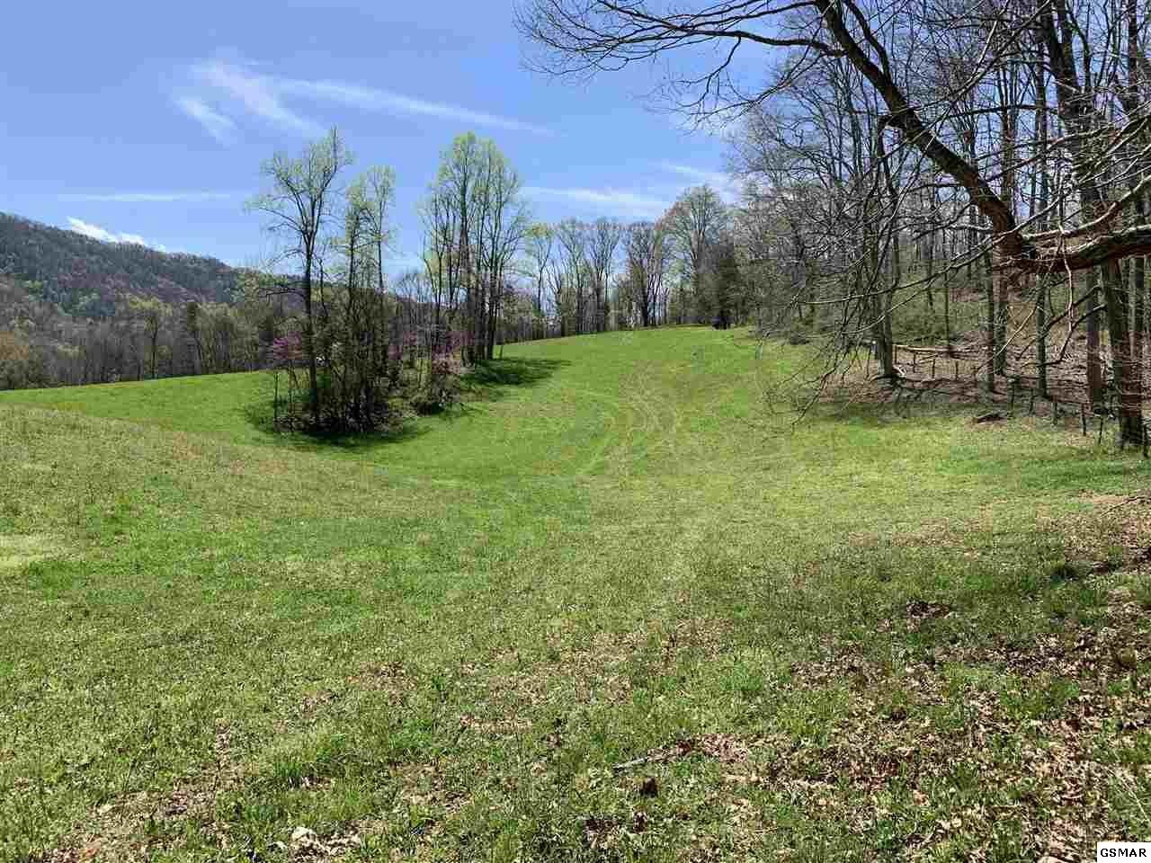 617 War Creek Road Eidson, TN 37731 - Photo 9 of 35