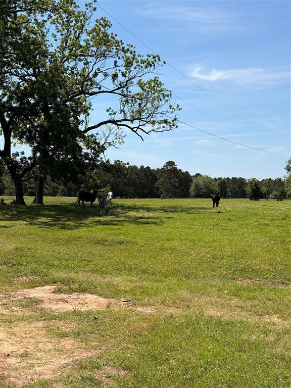 720 Haggerty Road Karnack, TX 75661 - Photo 4 of 39 a view of a lake with a big yard